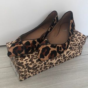 Fs/Ny Leopard Peppy Flats